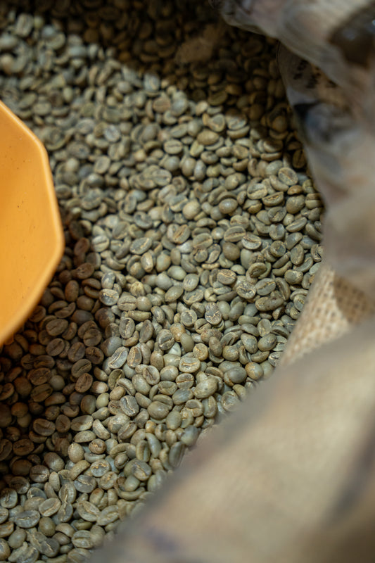 USDA Certified Arabica Green Beans